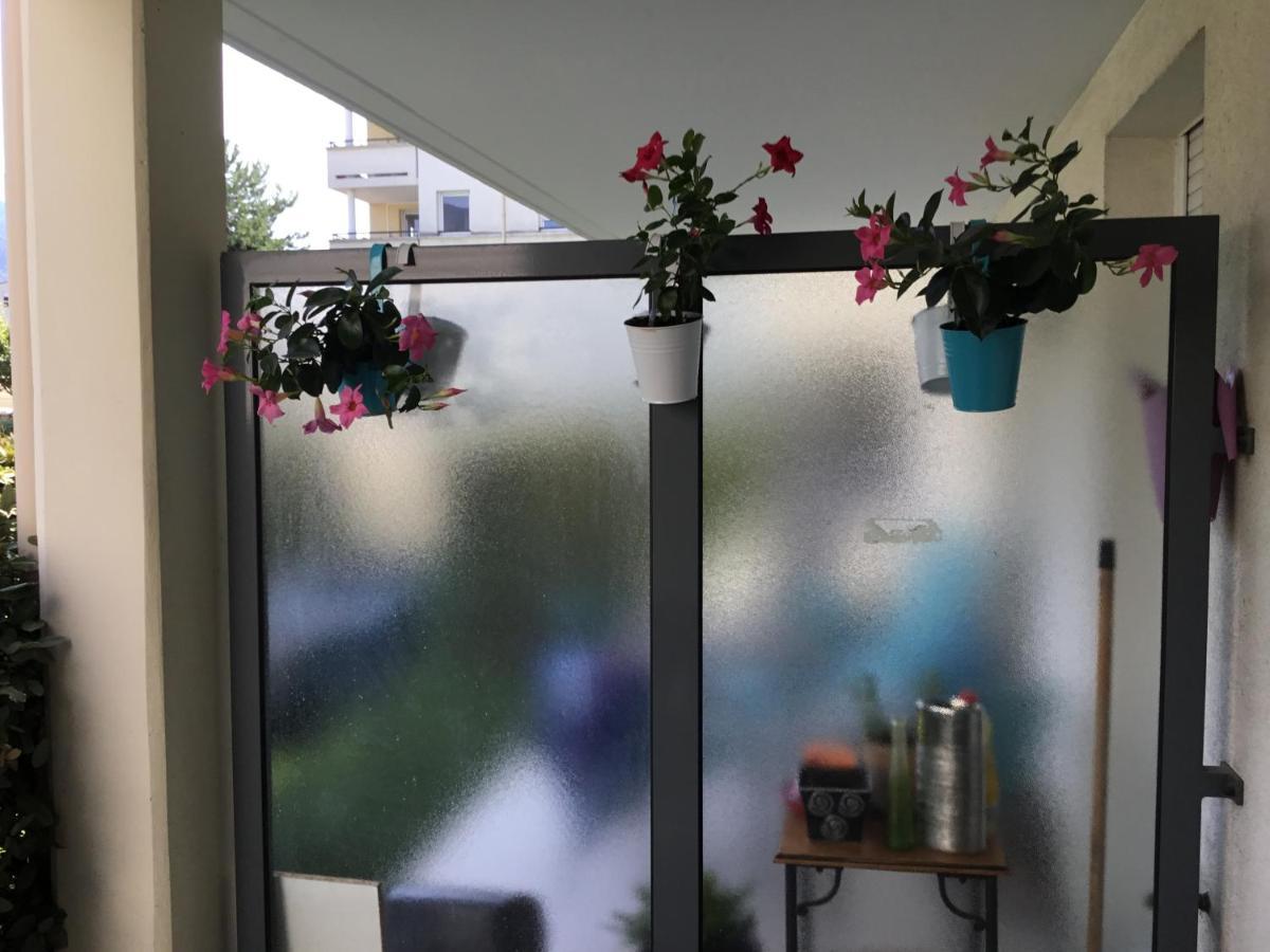 Appartement L édelweiss