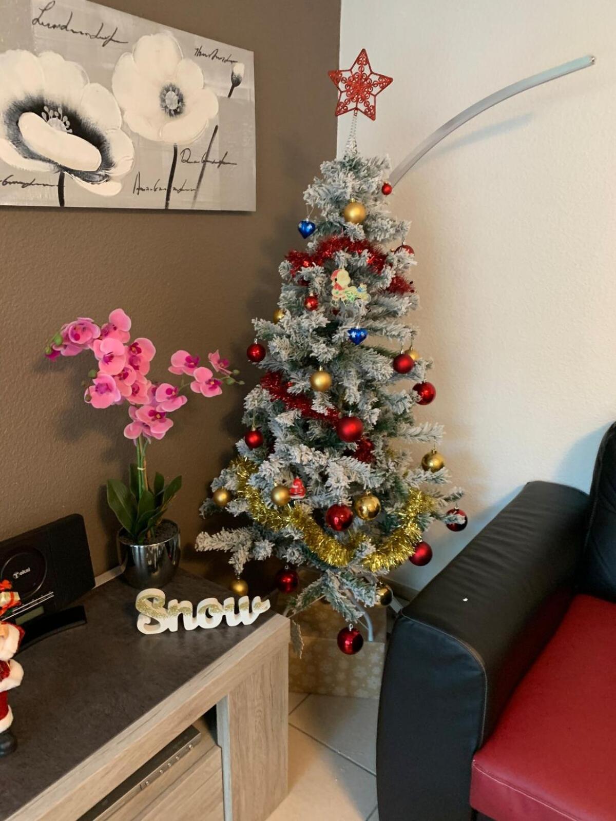L édelweiss Appartement Albertville